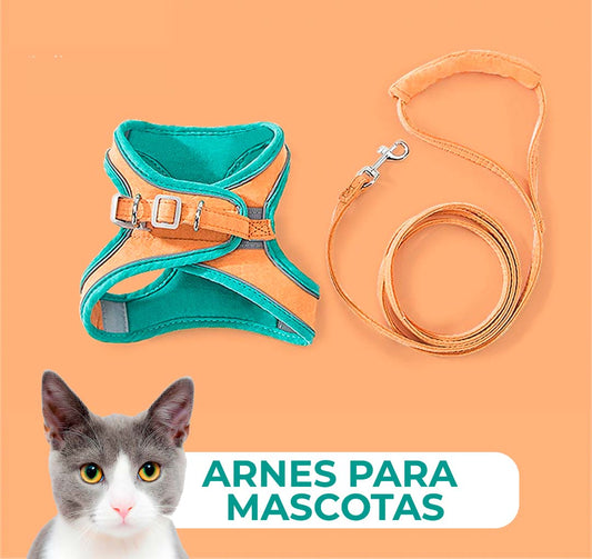 Arnes para mascota