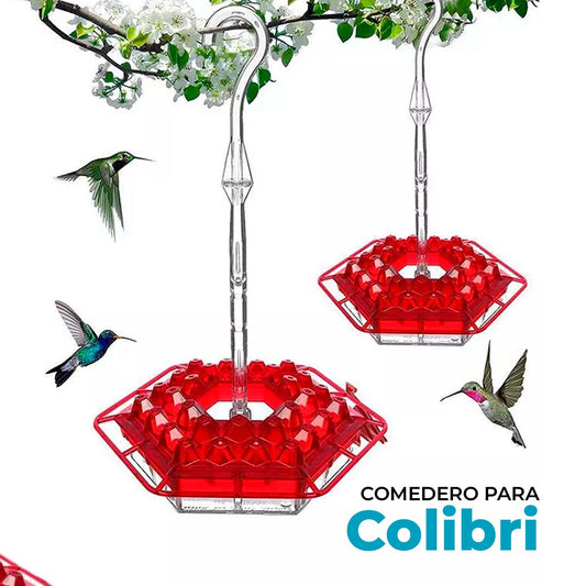 Comedero Colibrí